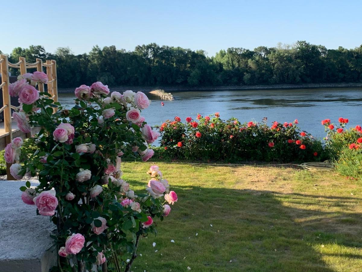 Maisons Au Bord De La Loire - Maison Paradis & Maison Bonheur Au 248 Riverside Le Fosse-Neuf Eksteriør bilde